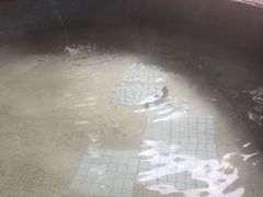 -宜春明月山维景国际温泉度假酒店