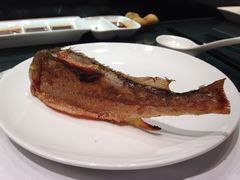 铁板小黄鱼-长兴楼饭店
