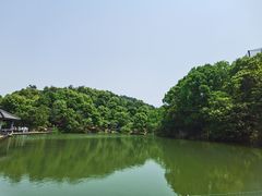 -千岛湖东南湖区
