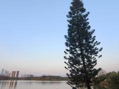 -海珠湖公园