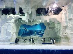 -华夏文旅海洋公园