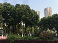 -重庆市江北嘴中央商务区中央公园