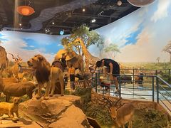 -陕西自然博物馆