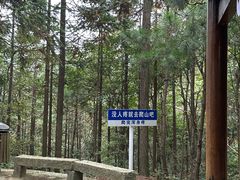 -罗田薄刀峰风景区