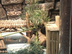 -大青山野生动物园