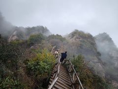 -大岭沟猕猴桃谷风景区