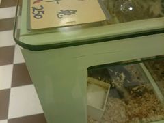 -龙猫仔乐园(惠福东路店)