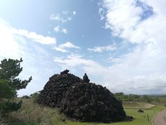 -涉地可支