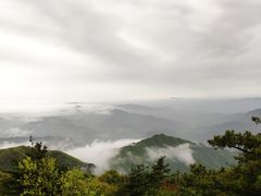 -王顺山国家森林公园