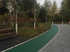 -回龙观体育文化公园