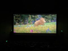 -华美国际影城(旧宫永辉店)