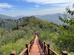 -大岭沟猕猴桃谷风景区