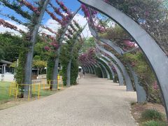 -布里斯班南岸公园