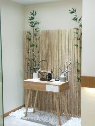 -颜和骨正·明哲式骨相美学整骨