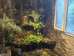 -大匠工房古船木艺术餐厅·猪肚鸡专门店(长白仙岛店)