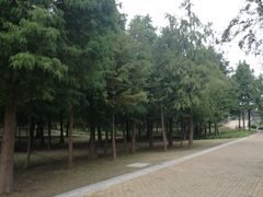 -同里国家湿地公园