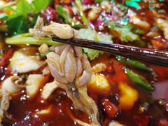 -蛙一刀·麻椒鱼火锅(金仙桥店)