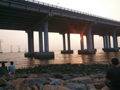 -宝安西湾红树林湿地公园