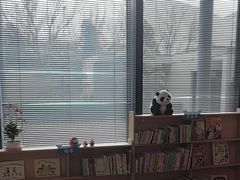 -日本大使馆-新闻文化中心
