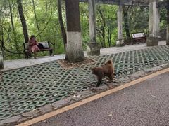 -黔灵山公园