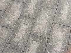 -塘沽站