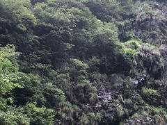 -井空里大峡谷