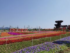 -芒洲湿地公园