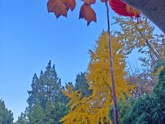 -无锡惠山寺