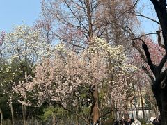 -1912街区