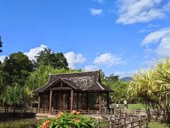 -中国科学院西双版纳热带植物园