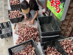 -野菌王牦牛肉汤锅