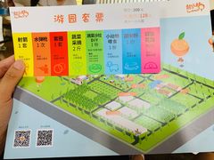 -前小桔亲子创意农场·草莓采摘·露营烧烤