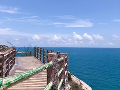 -广东惠东海龟国家级自然保护区