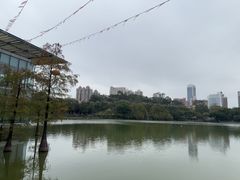 -鹿鸣酒家(越秀店)