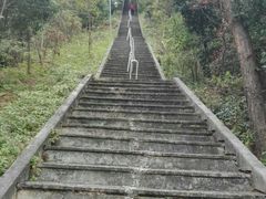 -神光山国家森林公园