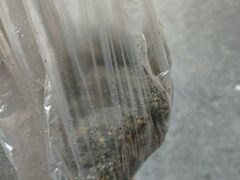 -叶氏麻糍(鼓浪屿店)
