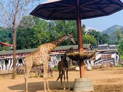 -大连森林动物园