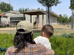 -石家庄市动物园