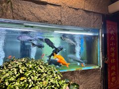 -又见炊烟私房菜(敬亭路店)