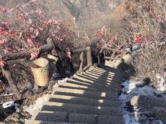 -秦岭终南山世界地质公园翠华山景区