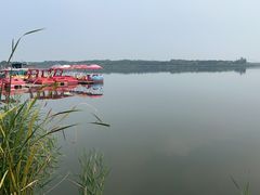 -西青郊野公园