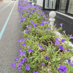 -爱儿美儿童摄影亲子馆(五路居店)