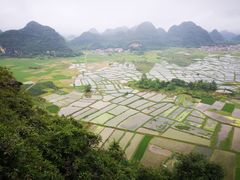 -会仙湿地