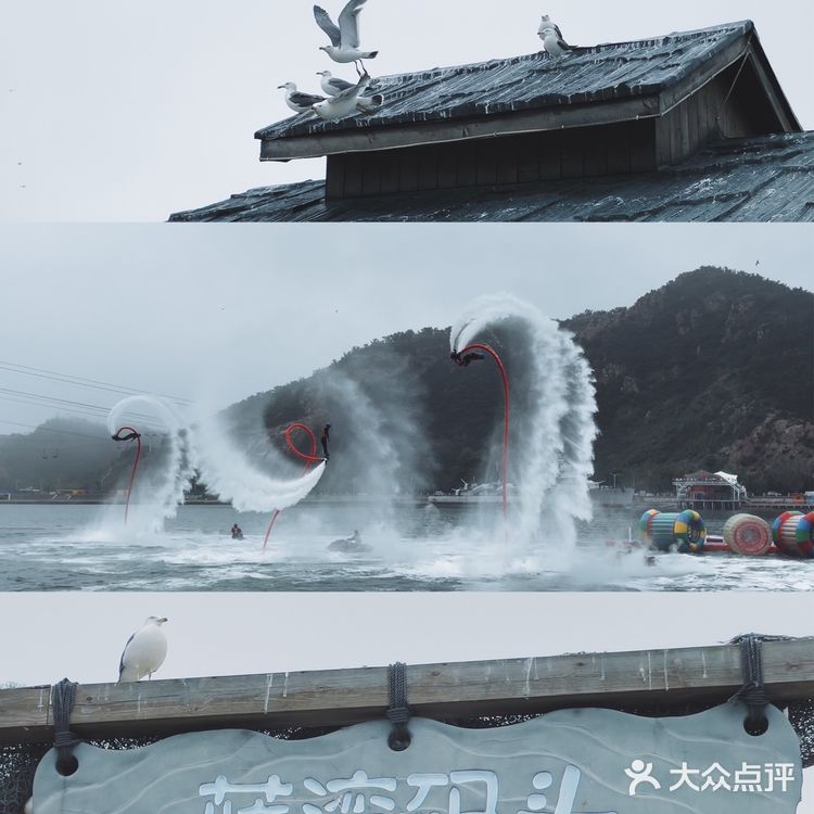 这个夏天这样玩｜大连老虎滩海洋公园攻略