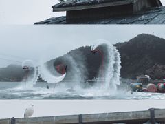 -大连老虎滩海洋公园