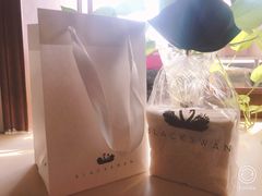 -BLACKSWAN黑天鹅(环球店)