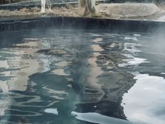 -青岛海泉湾度假区温泉