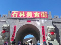 -铜川市金锁关石林