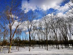 -大兴滨河森林公园