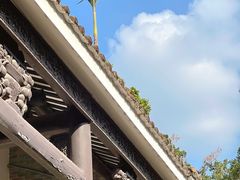 -长洲岛